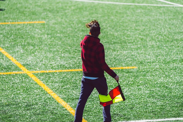 在市场中占 在市场中占